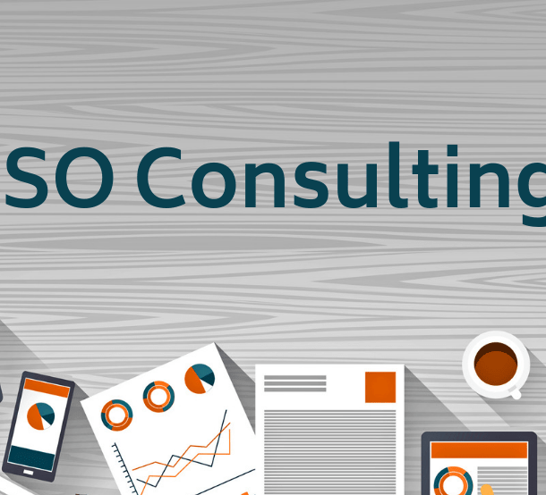 ISO Consulting Blog ISO9001 Program
